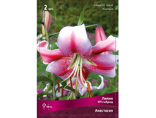 ����� ��������� 110,0