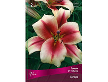 ����� ������ 110,0