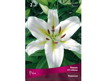 ����� ������� 86,0