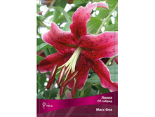 ����� ���� ��� 110,0