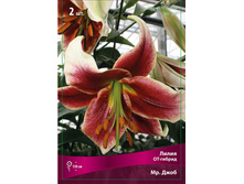 ����� ��. ���� 110,0