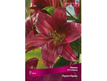 ����� ����� ����� 86,0