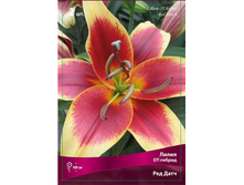 ����� ��� ���� 86,0