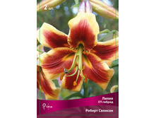 ����� ������ ������� 110,0