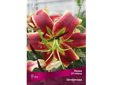 ����� ���������� 110,0