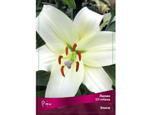 ����� ����� 94,0