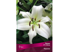 ����� ������� 94,0