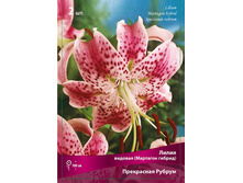 ����� ���������� ������ 132