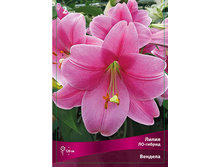 ����� ������� 94,0