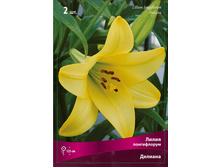 ����� ������� 94,0