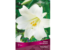 ����� ���� ���� 82,0