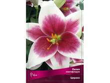 ����� ������ 82,0