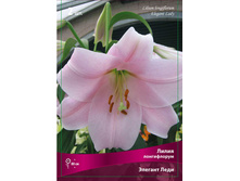 ����� ������� ���� 94,0