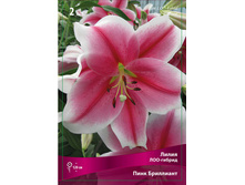 ����� ���� ��������� 115,0