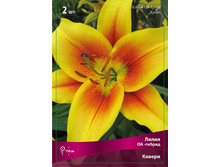 ����� ������ 94,0