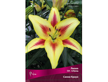 ����� ����� ����� 94,0