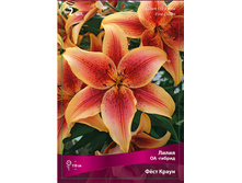 ����� ��� ����� 94,0