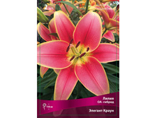 ����� ������� ����� 94,0