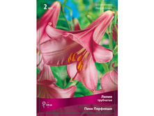 ����� ���� �������� 110,0