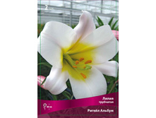 ����� ������ ������ 110,0