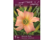 �������� ������ ���� 90,0