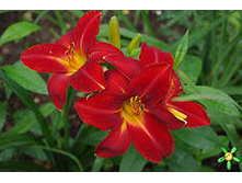 �������� ���������  ����� 83,0