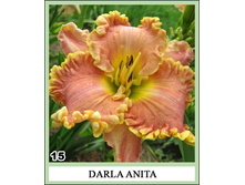 �������� ��������� ����� ����� 174,0