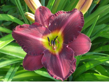 �������� ��������� ������� 129,0