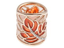 60019320-255 ���..jpg