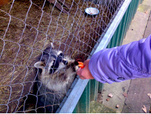 ���� � ������� 2.jpg