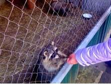 ���� � �������.jpg