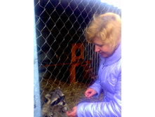 ������� � �����.jpg