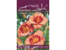 �������� ��������� ��������� ����� 101,0