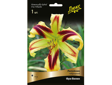 �������� ��������� ��� ����� 129,0