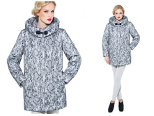 0208 �������.jpg