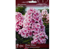 ����� ������� ���� ����_62,0