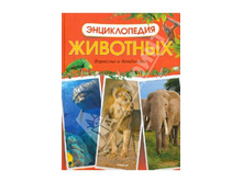 ������������ ��������.jpg