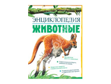 ������������ � ��������.jpg