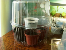 �������� �� ������.JPG