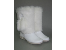 ���� ������� (�-14 � �����������)