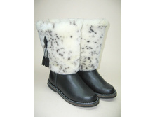 ���� ������� (� 12)