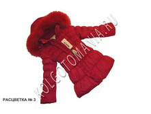 ������ ������