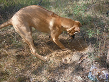DSCF2142.JPG