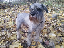 ������� 2013, 2 ���� 4 ������