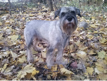 ������� 2013, 2 ���� 4 ������