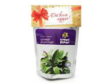 ������ hp-12 120�.+%