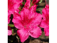 120���. ������ �������� ����� ������.jpg