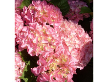 110���. ��������� �������������� ������������.jpg