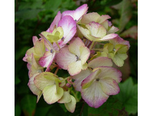 110���. ��������� ��������� ��������.jpg