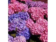 120���. ��������� �������������� ����� ����.jpg